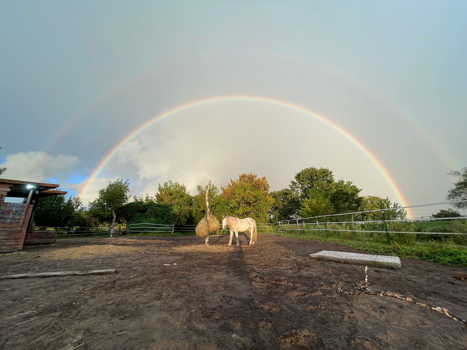 Ein Regenbogen spannt sich über den Reitplatz, unter ihm stehen zwei helle Pferde.